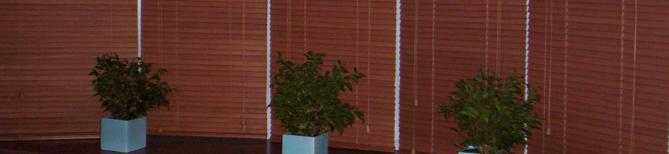 Venetian Blinds