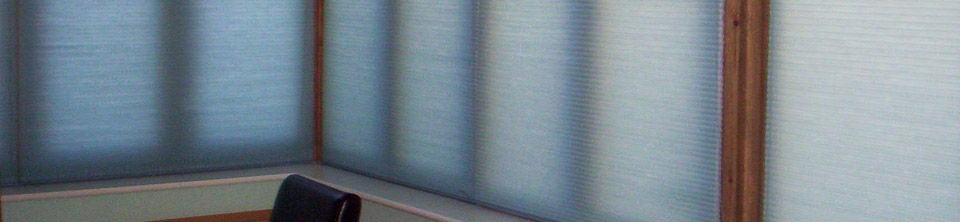 Pleated Blinds
