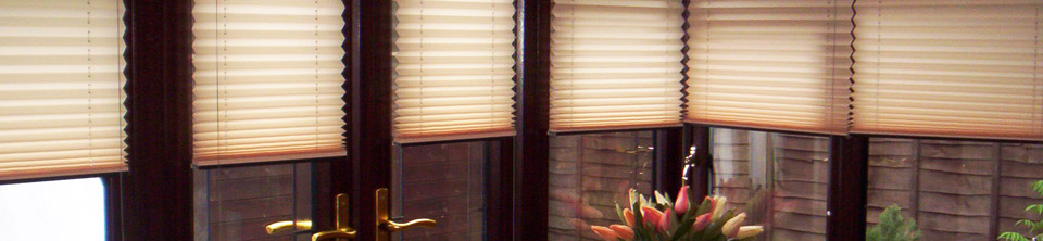 Pleated Blinds